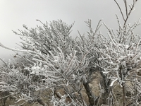 171119turumi.jpg