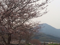 20160330.jpg