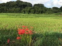 20170918.jpg