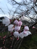 20190328.jpg