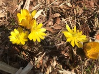IMG_1684.JPG