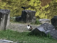 IMG_1771.JPG