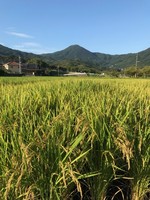 IMG_1908.JPG