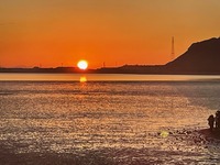 IMG_5350.jpg