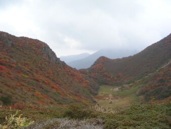 �g�t�̎O���R