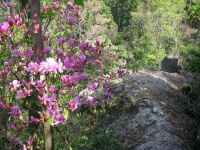 �����Ó�