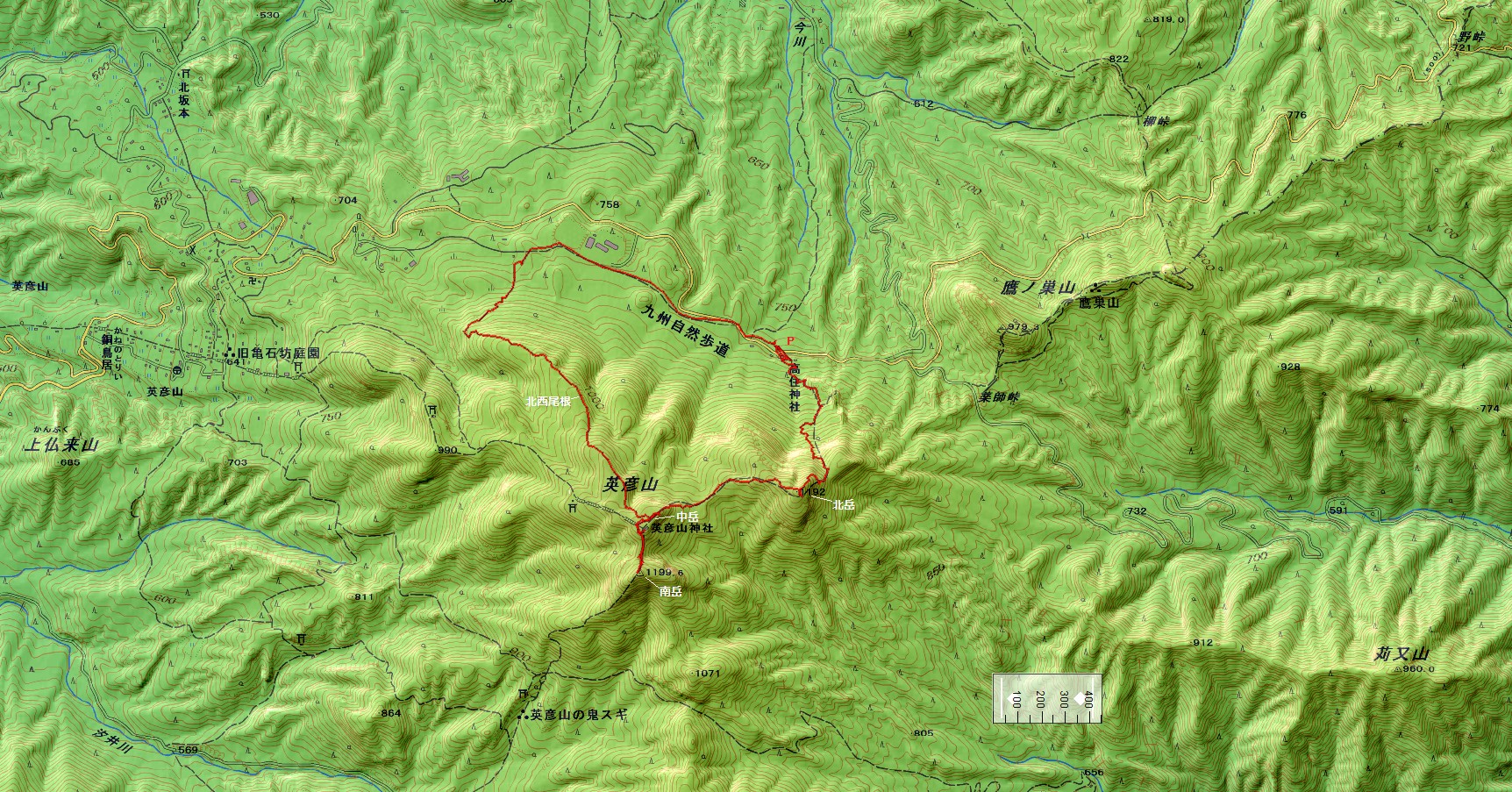 �p�F�R�k���������[�g