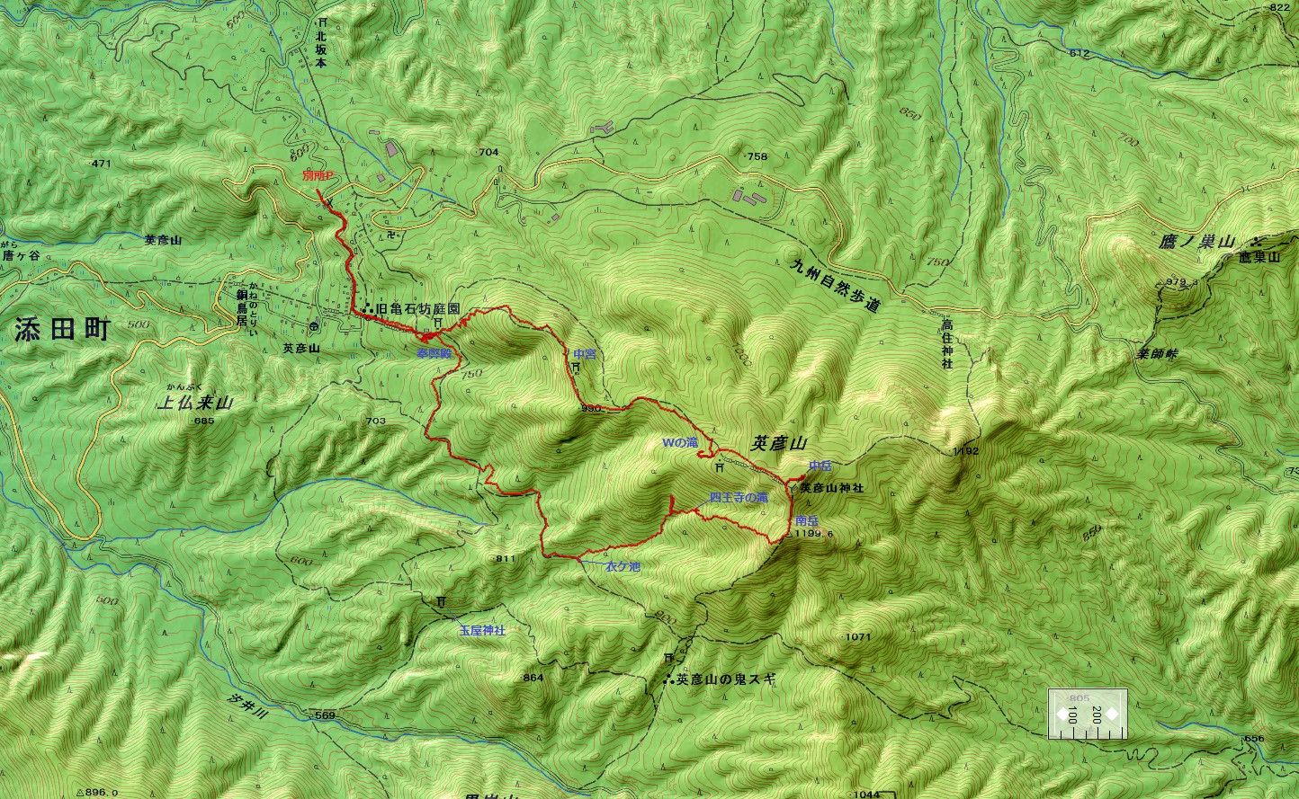 �p�F�R�o�R�}�b�v