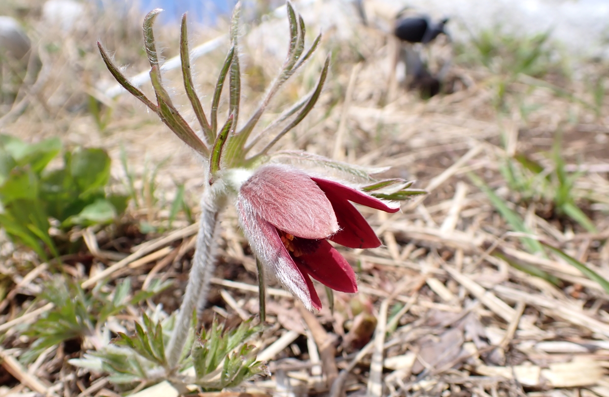 �I�L�i�O�T