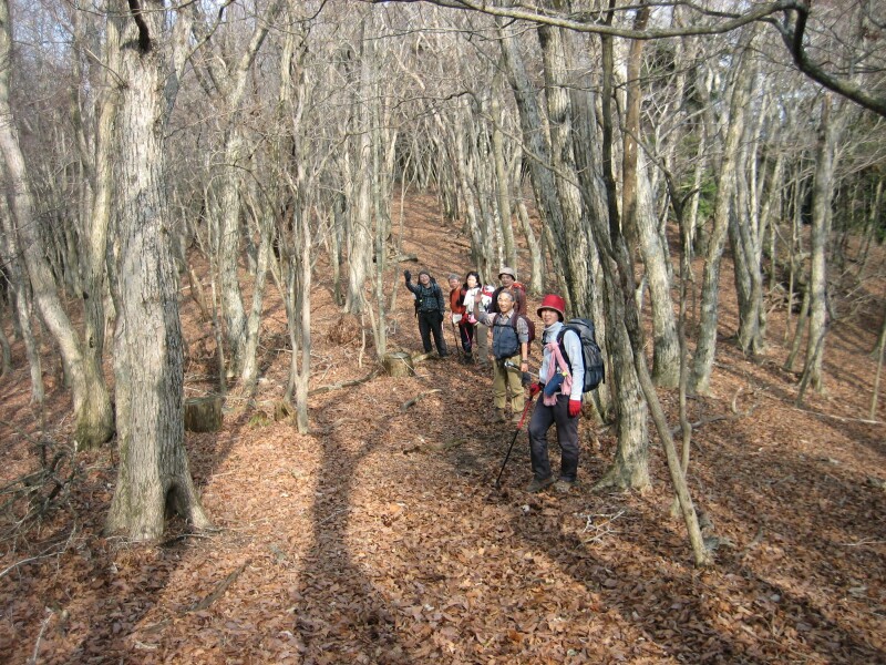 �~�͂�̌����x�Ƌ����̏c���H